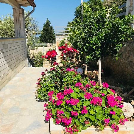 Vuno Vila Milo 아파트 외부 사진