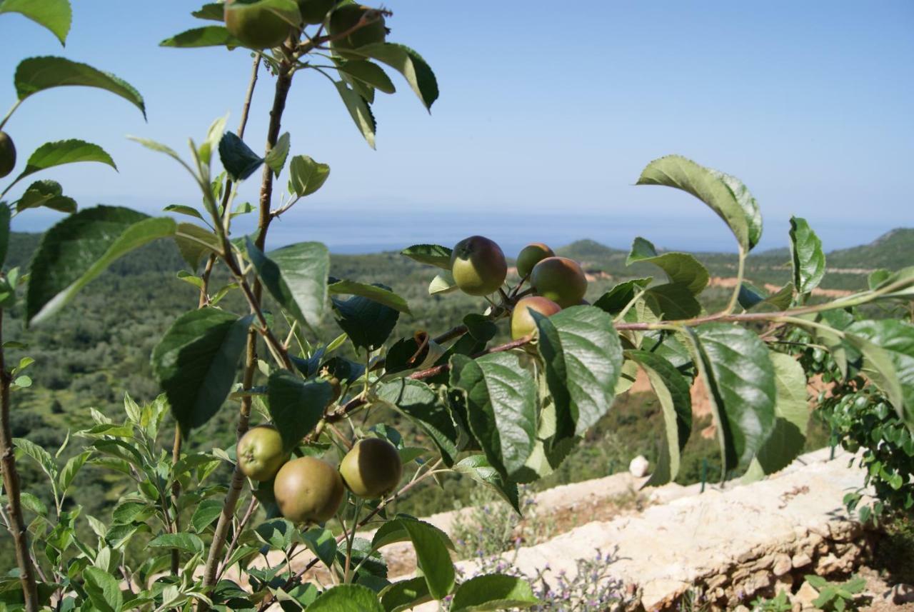 Vuno Vila Milo 아파트 외부 사진