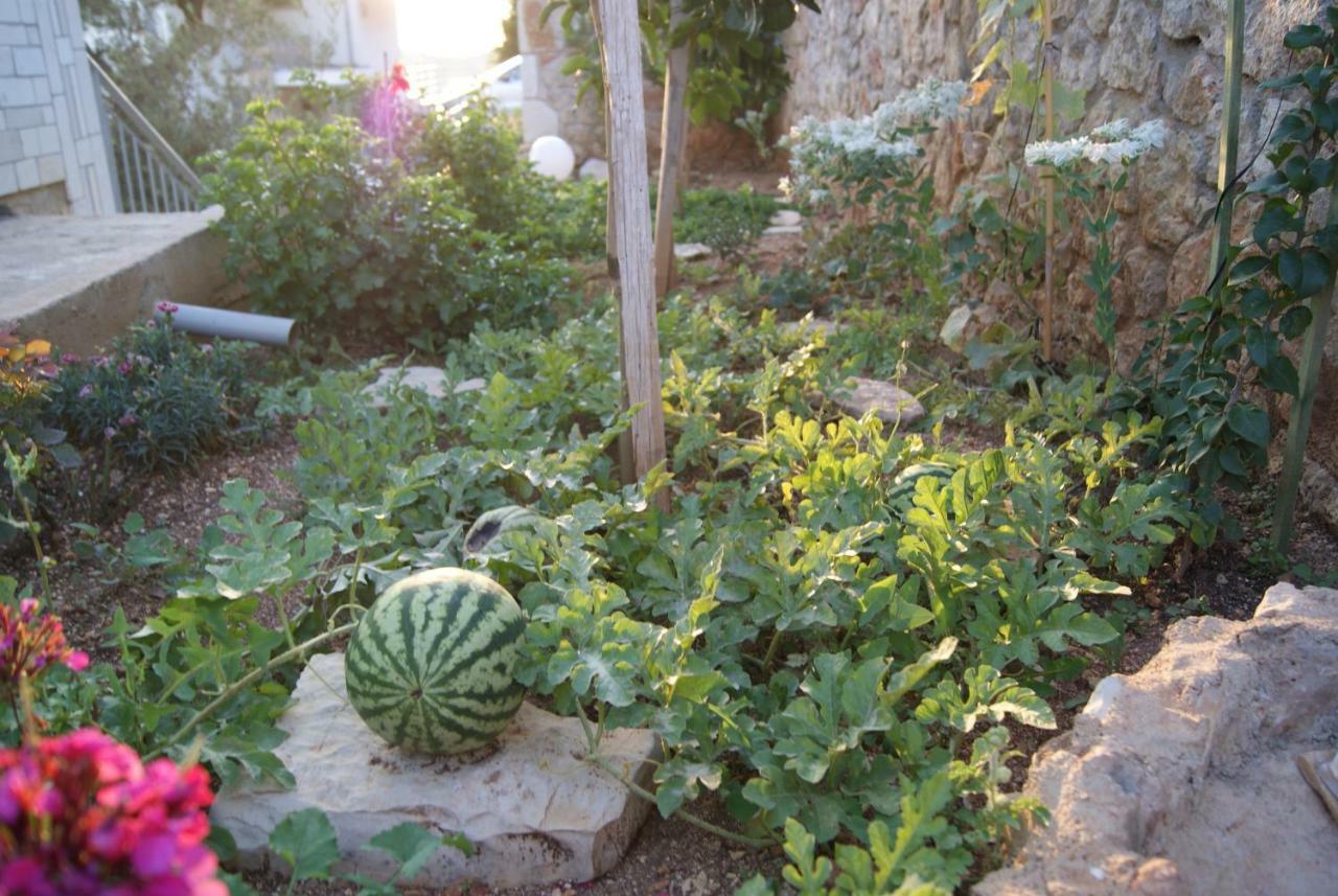 Vuno Vila Milo 아파트 외부 사진
